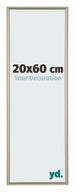 Annecy Plastica Cornice 20x60cm Champagne Davanti Dimensione | Yourdecoration.it