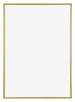Annecy Plastica Cornice 42x59 4cm A2 Oro Davanti | Yourdecoration.it