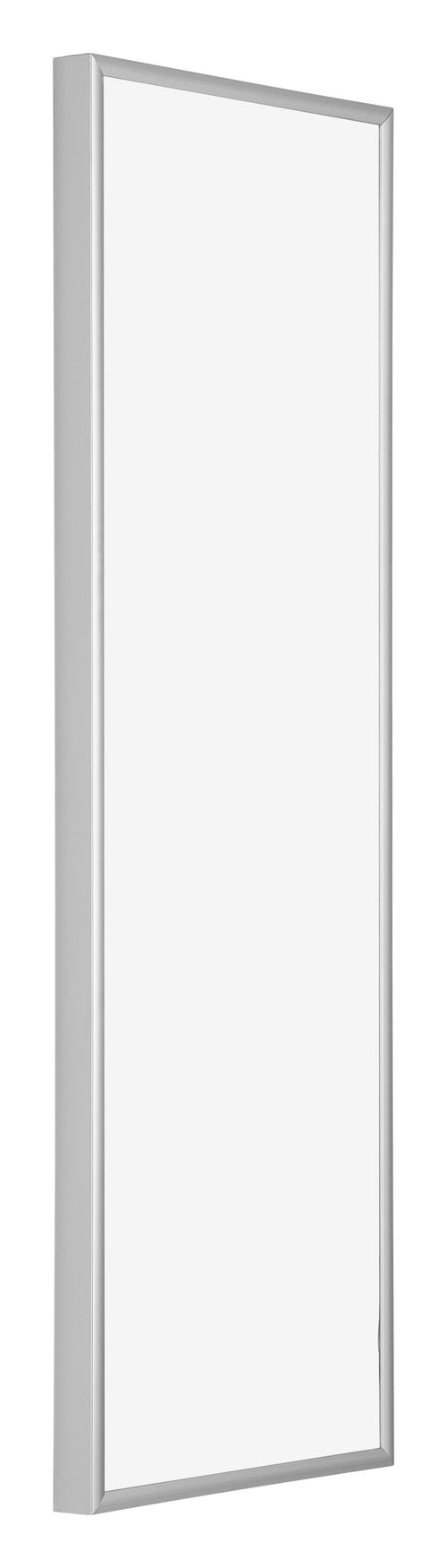 Austin Alluminio Cornice 20x60cm Argento Opaco Davanti Obliquo | Yourdecoration.it
