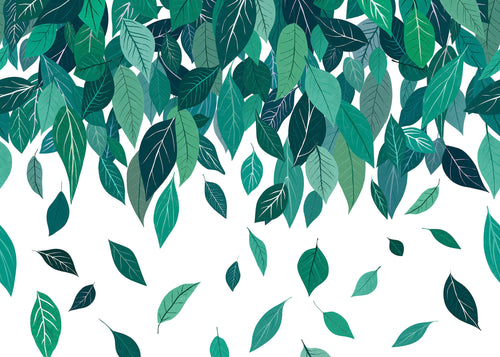 Carta da Parati Blatterchaos 350x250cm FLX7 012 | Yourdecoration.it