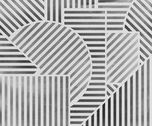 Carta da Parati Jeux de Lignes 300x250cm FLX6 037 | Yourdecoration.it