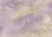 Carta da Parati Lavender clouds 350x250cm FLX7 009 | Yourdecoration.it