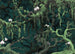 Carta da Parati Orch Idee 350x250cm FLX7 019 | Yourdecoration.it