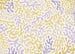 Carta da Parati Sage Flip 350x250cm FLX7 016 | Yourdecoration.it