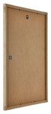 Catania MDF Cornice 29-7x42cm Oro Retro Obliquo | Yourdecoration.it