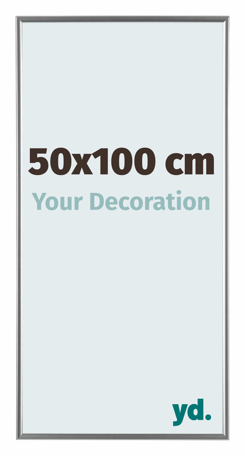 Evry Plastica Cornice 50x100cm Argento Davanti Dimensione | Yourdecoration.it