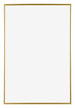 Evry Plastica Cornice 60x85cm Oro Davanti | Yourdecoration.it