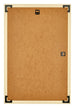 Evry Plastica Cornice 60x85cm Oro Retro | Yourdecoration.it