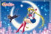 Poster Sailor Moon Luna 91 5x61cm GBYDCO715 | Yourdecoration.it