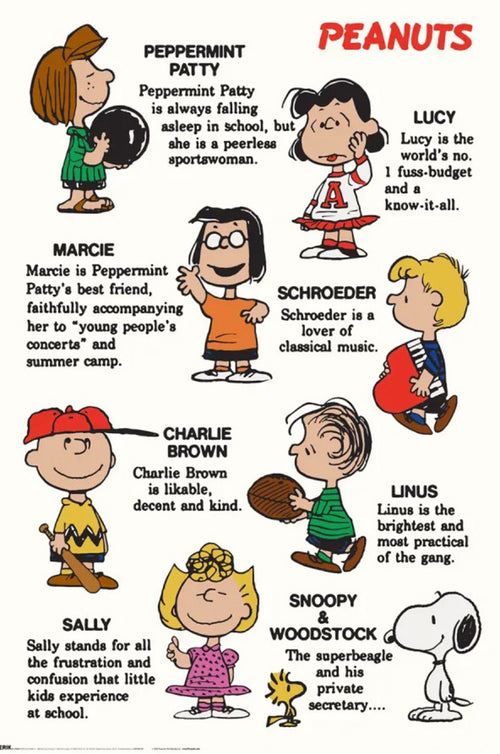 Poster Snoopy Characters 61x91 5cm GPE6018 | Yourdecoration.it