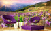 Dimex Crocuses At Spring Carta Da Parati In Tessuto Non Tessuto 375X250cm 5 Strisce Ambiente_4E3A1Fb3 8C8F 4887 9577 F035A238215C | Yourdecoration.it