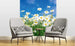 Dimex Daisies Carta Da Parati In Tessuto Non Tessuto 225X250cm 3 Strisce Ambiente_0Acacdea A3B1 4Aa9 A404 21E54531F2Ba | Yourdecoration.it