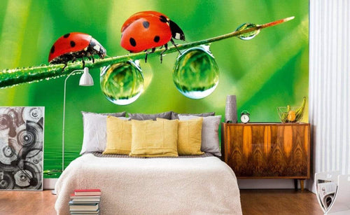 Dimex Ladybird Carta Da Parati In Tessuto Non Tessuto 375X250cm 5 Strisce Ambiente_5828B0F7 F830 4B69 A03D A76229072599 | Yourdecoration.it
