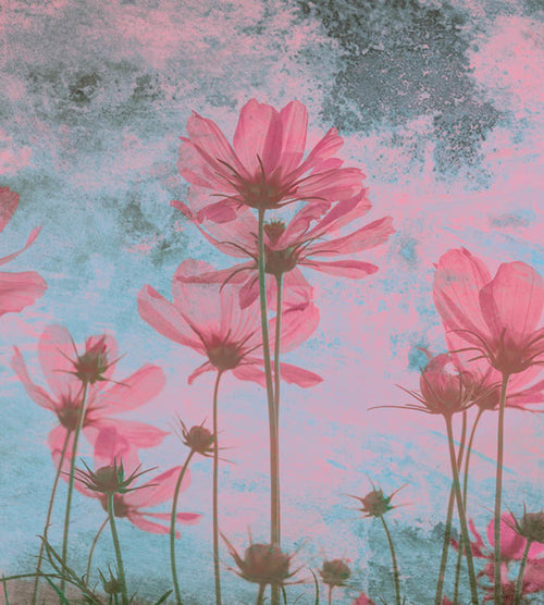 Dimex Pink Flower Abstract Carta Da Parati In Tessuto Non Tessuto 225X250cm 3 Strisce | Yourdecoration.it