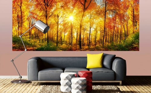 Dimex Sunny Forest Carta Da Parati In Tessuto Non Tessuto 375X150cm 5 Strisce Ambiente | Yourdecoration.it