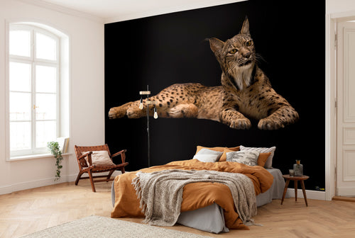 Komar Iberische Lynx Carta Da Parati In Tessuto Non Tessuto 400X280cm 6 Pannelli Ambiente | Yourdecoration.it
