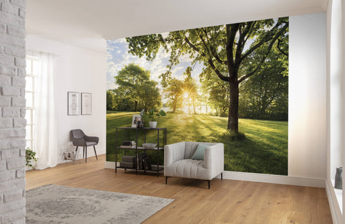 komar_vlies_carta da parati_8_743_golden_moment_ambiente | Yourdecoration.it