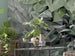 komar_vlies_carta da parati_INX6_036_Emerald_Flowers_detail | Yourdecoration.it