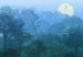 komar_vlies_carta da parati_INX8_052_Deep_in_the_Jungle | Yourdecoration.it