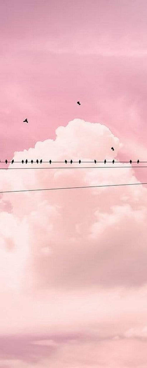 P017 Vd1 Komar Cloud Wire Carta Da Parati In Tessuto Non Tessuto 100X250cm 1 Baan | Yourdecoration.it