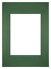 Passepartout Dimensione Cornice 20x28 cm - Formato Immagine 13x18 cm - Foresta Verde