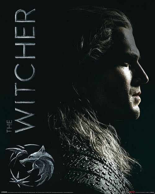 Pyramid The Witcher Shadows Embrace Poster 40X50cm | Yourdecoration.it