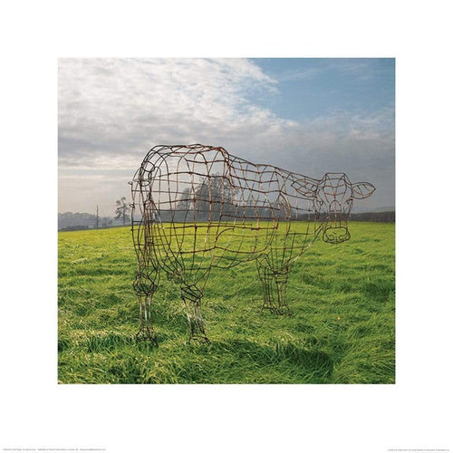 Stampa Artistica Pink Floyd - Wireframe Cow 40x40cm