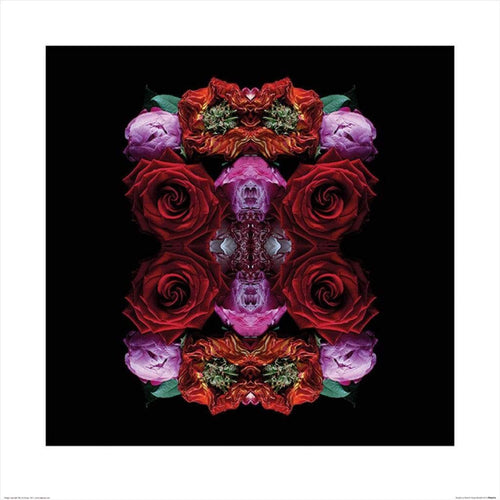 pyramid ppr46076 alyson fennell paradise of petals stampa artistica 60x60cm | Yourdecoration.it