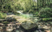 Sh079 Vd4 Komar Tranquil Pool Carta Da Parati In Tessuto Non Tessuto 400X250cm 4 Strisce | Yourdecoration.it
