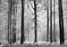 00115_Avalon | Yourdecoration.it