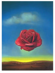 Stampa d arte Salvador Dali Rose Meditative 60x80cm SD 883 | Yourdecoration.it