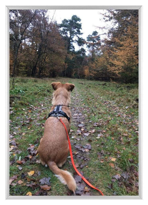 Aurora Alluminio Cornice 21x29-7cm Argento Davanti Foto | Yourdecoration.it