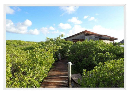 Aurora Alluminio Cornice 29-7x42cm Bianco Davanti Foto Paesaggio | Yourdecoration.it