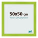Cornice 50x50cm Verde MDF Pisa Davanti Dimensione | Yourdecoration.it