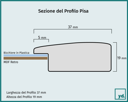 Pisa Dettaglio Sezione Disegno | Yourdecoration.it