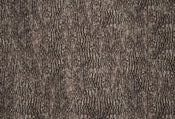 5462 8 Wizard_Genius Bark Wall Carta Da Parati In Tessuto Non Tessuto 384X260cm 8 Strisce_C5256133 F319 42F3 A086 E48F5A1E2442 | Yourdecoration.it