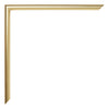 Annecy Plastica Cornice 30x60cm Oro Dettaglio Angolo | Yourdecoration.it