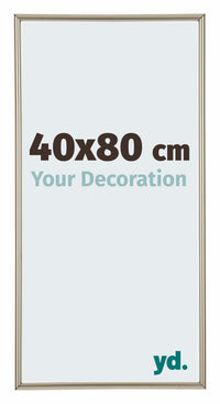 Annecy Plastica Cornice 40x80cm Champagne Davanti Dimensione | Yourdecoration.it
