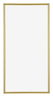 Annecy Plastica Cornice 50x100cm Oro Davanti  | Yourdecoration.it