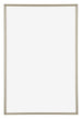 Annecy Plastica Cornice 50x75cm Champagne Davanti | Yourdecoration.it