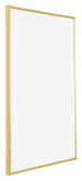 Annecy Plastica Cornice 59x84cm Oro Davanti Obliquo | Yourdecoration.it