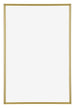 Annecy Plastica Cornice 60x85cm Oro Davanti  | Yourdecoration.it