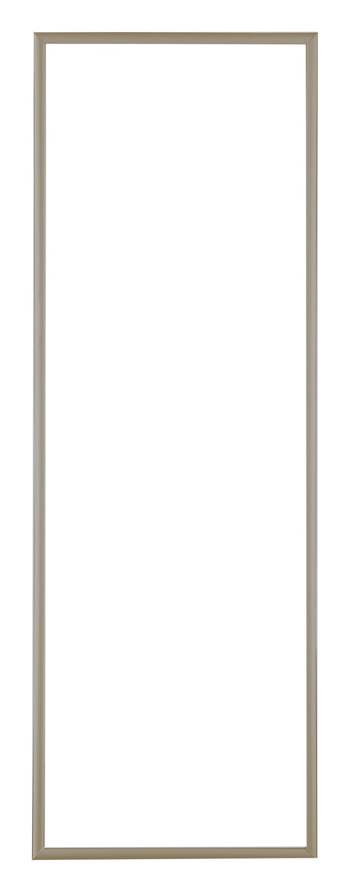Austin Alluminio Cornice 33x98cm Champagne Davanti | Yourdecoration.it
