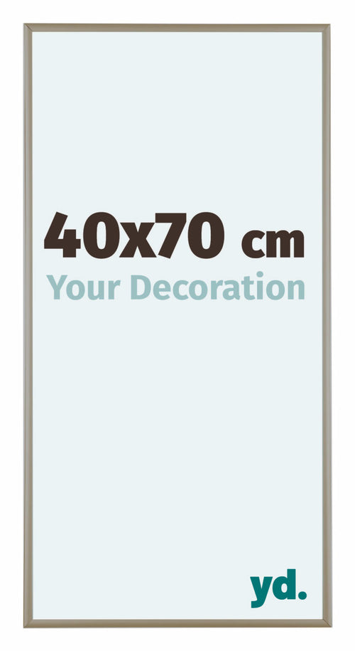 Austin Alluminio Cornice 40x70cm Champagne Davanti Dimensione | Yourdecoration.it