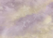 Carta da Parati Lavender clouds 350x250cm FLX7 009 | Yourdecoration.it
