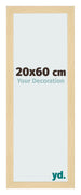 Cornice 20x60cm Faggio Decorativo MDF Bologna Davanti Dimensione | Yourdecoration.it