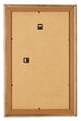 Cornice 30x50cm Oro Antico MDF Lazio Retro | Yourdecoration.it