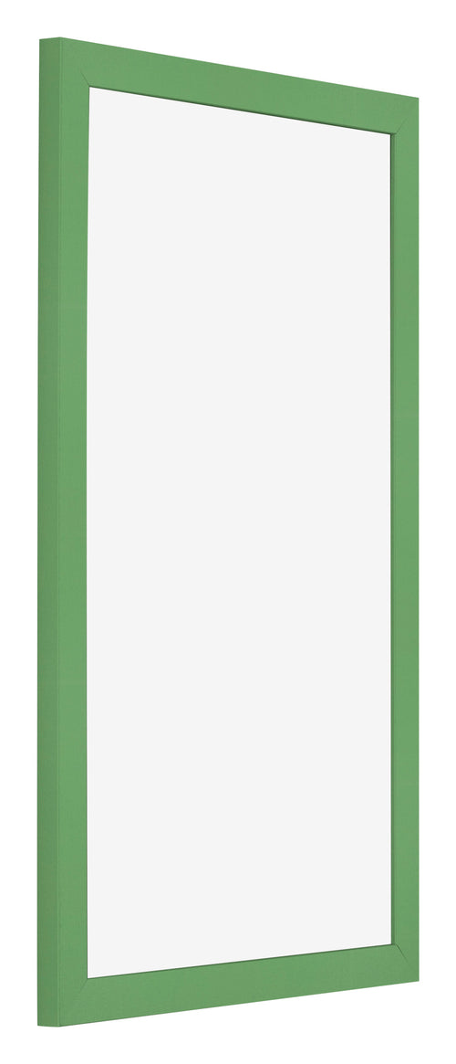 Cornice 30x50cm Verde MDF Bologna Davanti Obliquo | Yourdecoration.it