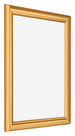 Cornice 50x60cm Oro Opaco MDF Lazio Davanti Obliquo | Yourdecoration.it