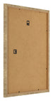 Cornice 55x65cm Oro Antico MDF Bologna Retro Obliquo | Yourdecoration.it